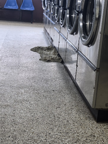 Coin Laundry in Waco