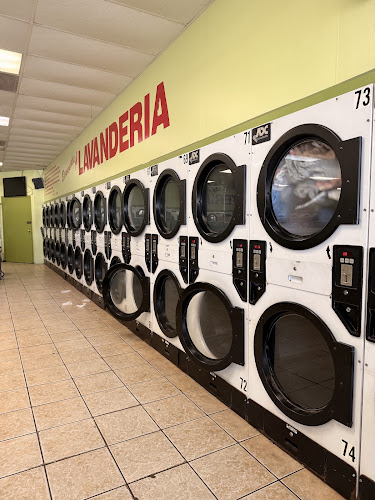 Fulton Laundry in Houston