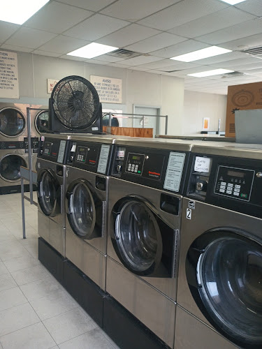 Wishsy Washy in Laredo