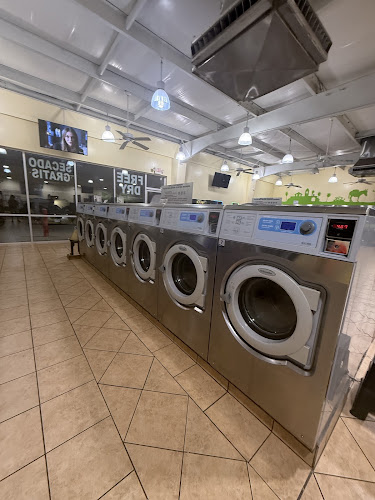 Z Wash (XPS Wash) in Garland
